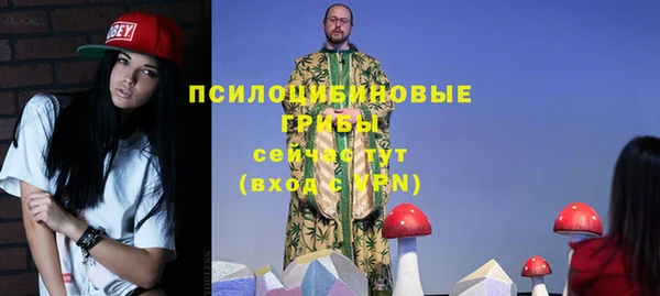 соль ск Мегион