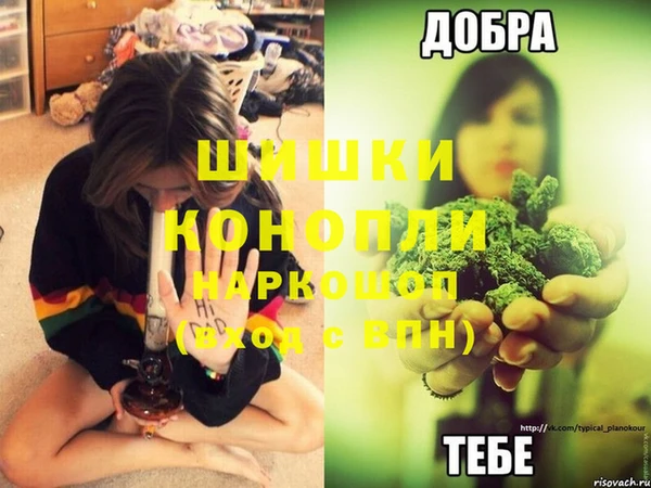 соль ск Мегион