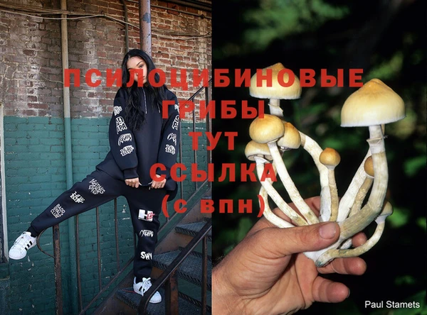 PSILOCYBIN Медногорск