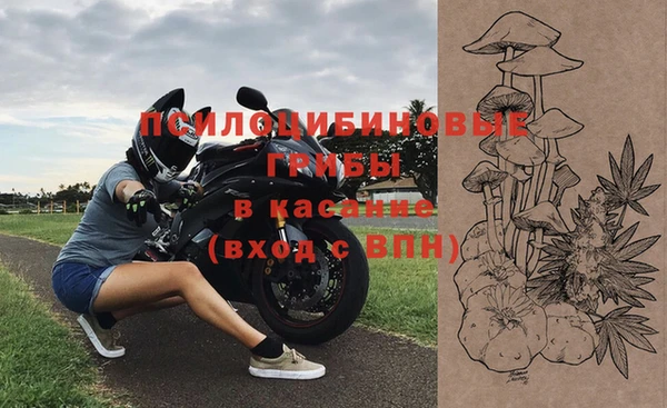 PSILOCYBIN Медногорск