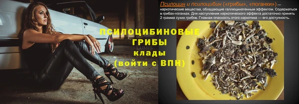 соль ск Мегион