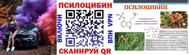 OMG ссылка  наркотики  Кисловодск  Псилоцибиновые грибы Magic Shrooms 