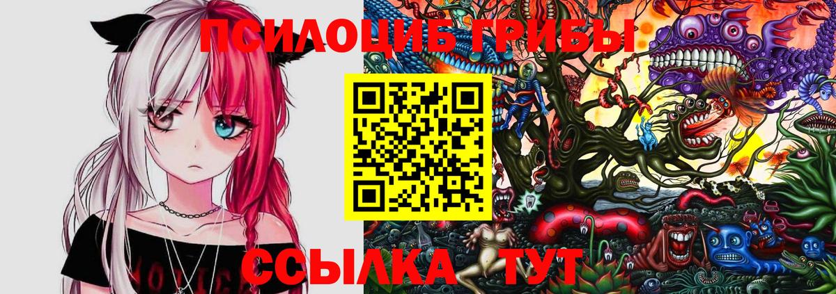 Галлюциногенные грибы прущие грибы  Кисловодск 