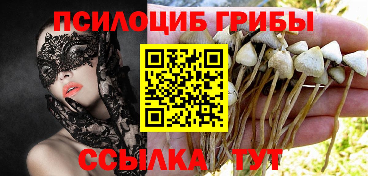 Галлюциногенные грибы GOLDEN TEACHER  Вход с VPN  Кисловодск 